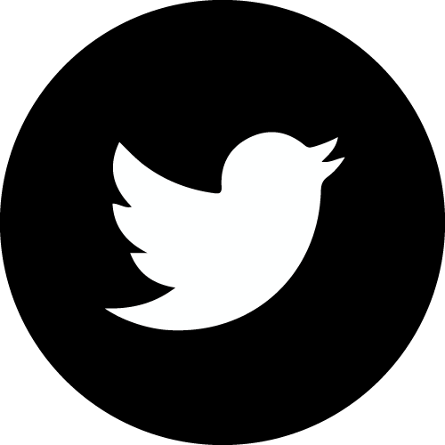 logo twitter icon nb